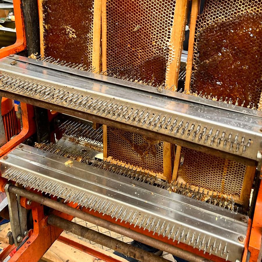 La picoteuse, un outil spécifique utilisé pour l'extraction du miel de bruyère callune.